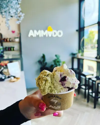 AMMADO Premium Gelato & Cafe - znakomite lody, desery, kawa